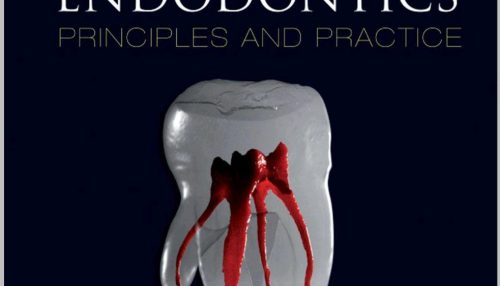 GROSSMANS ENDODONTIC PRACTICE WITH ACCESS CODE 14ED