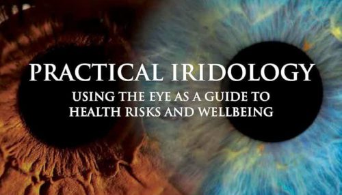 Practical Iridology: Using the Eye as a Guide to Health Risks and Wellbeing