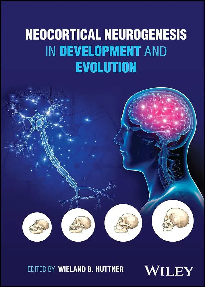 Neocortical Neurogenesis in Development and Evolution